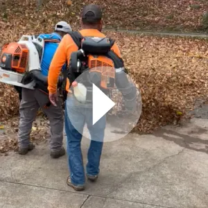 video2